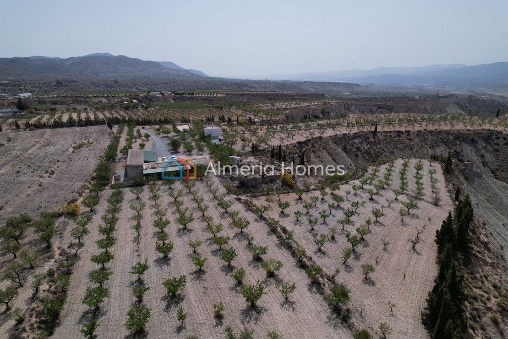 3 soveværelse Villa til salg i Lucar med swimmingpool - € 280.000 (Ref: 8323927)