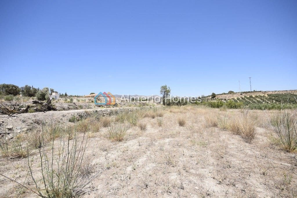 Landgrundstück zu verkaufen in Tijola - 20.000 € (Ref: 8394339)