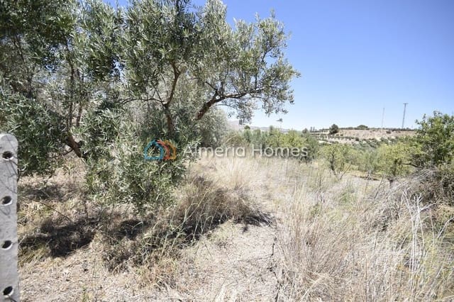 Terreno Non Edificato in vendita in Tíjola - 20.000 € (Rif: 8394339)