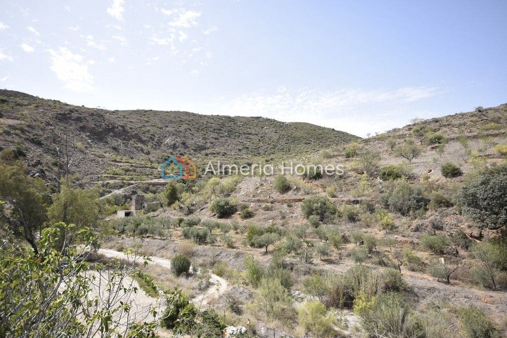 3 soveværelse Finca/Landehus til salg i Albanchez - € 80.500 (Ref: 8420748)