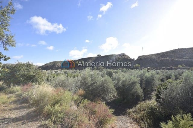 6 soveværelse Finca/Landehus til salg i Oria - € 109.995 (Ref: 868463)