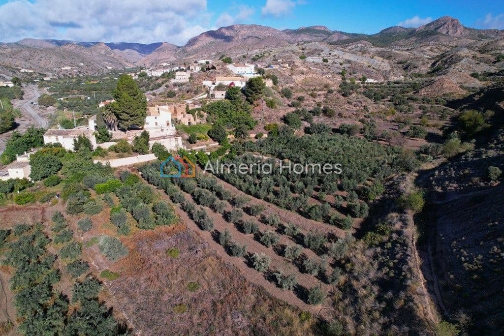 6 soveværelse Finca/Landehus til salg i Oria - € 109.995 (Ref: 868463)