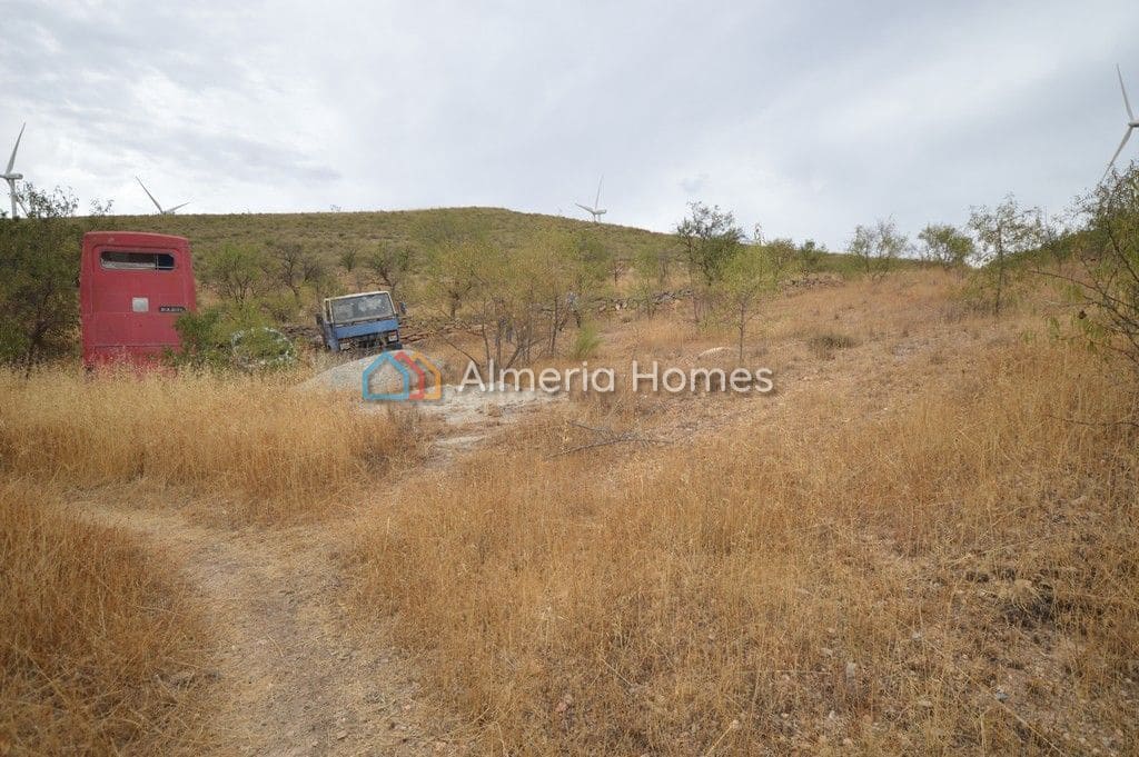 Mark till salu i Seron - 49 000 € (Ref: 868489)