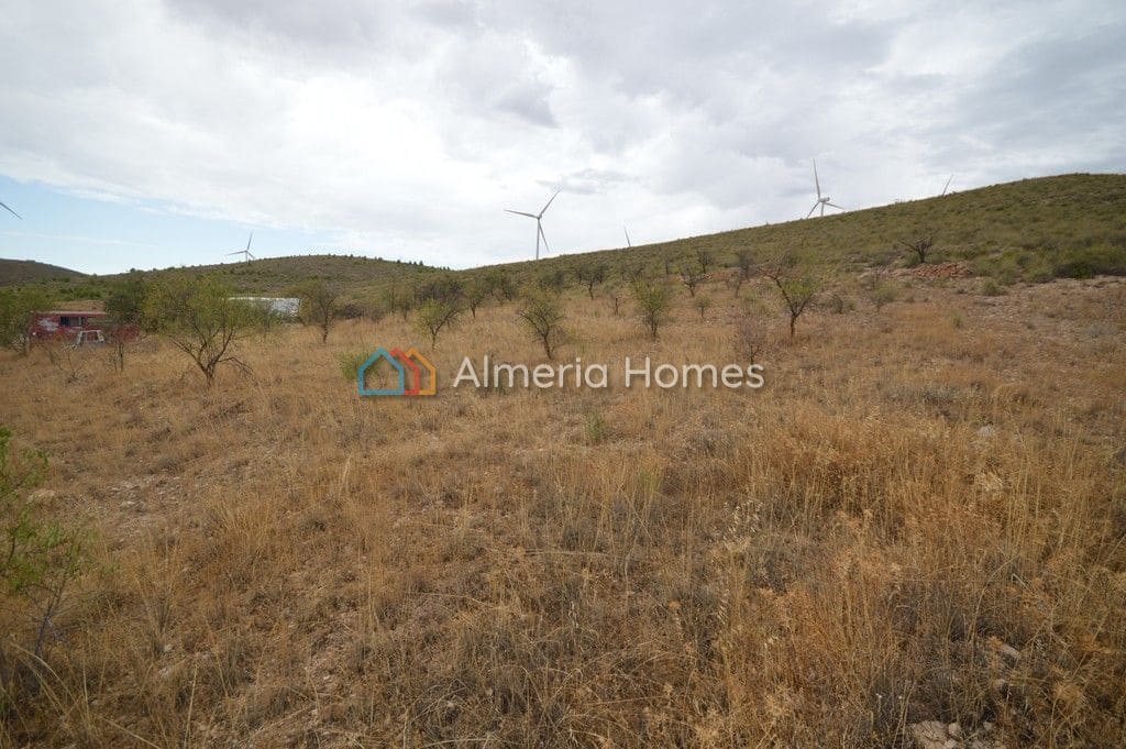 Mark till salu i Seron - 49 000 € (Ref: 868489)