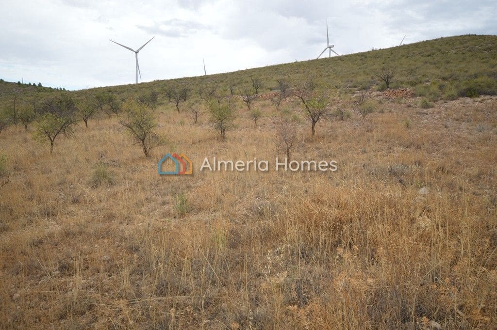 Mark till salu i Seron - 49 000 € (Ref: 868489)