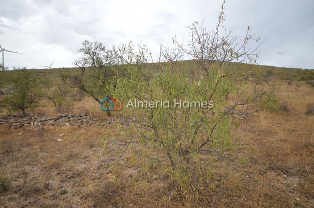 Mark till salu i Serón - 49 000 € (Ref: 868489)