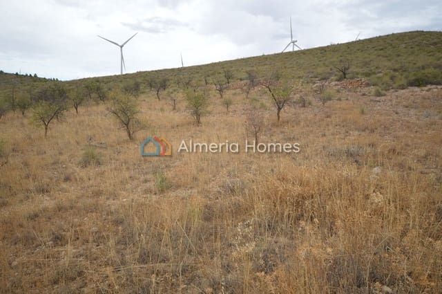 Mark till salu i Serón - 49 000 € (Ref: 868489)