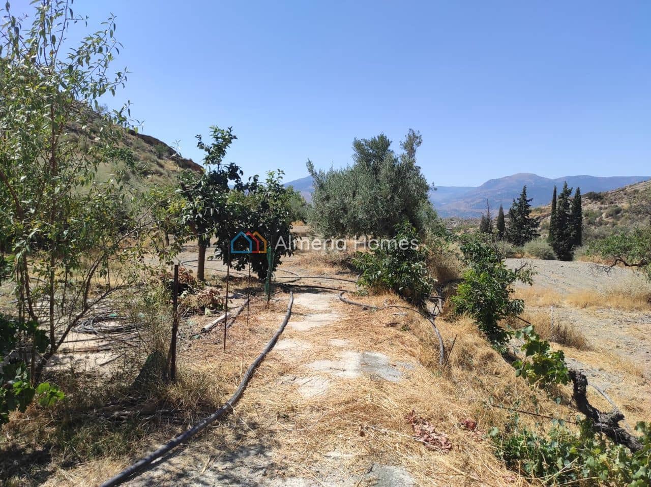 1 soveværelse Finca/Landehus til salg i Lucar - € 65.000 (Ref: 8736911)