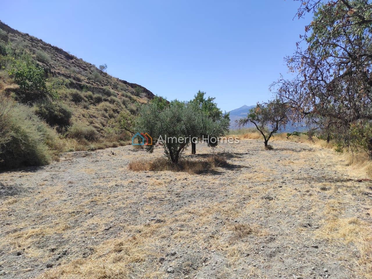 1 soveværelse Finca/Landehus til salg i Lucar - € 65.000 (Ref: 8736911)