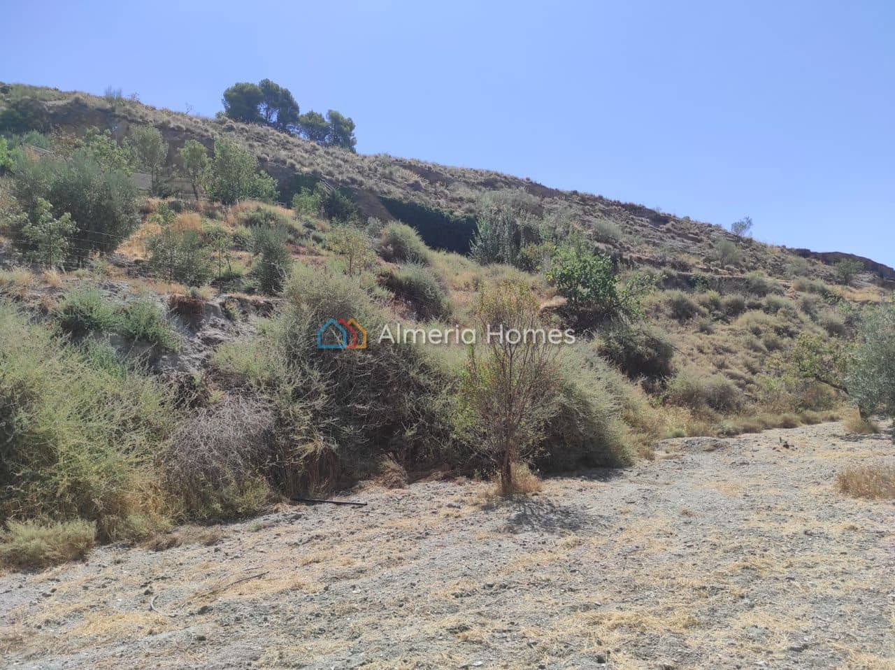 1 soveværelse Finca/Landehus til salg i Lucar - € 65.000 (Ref: 8736911)