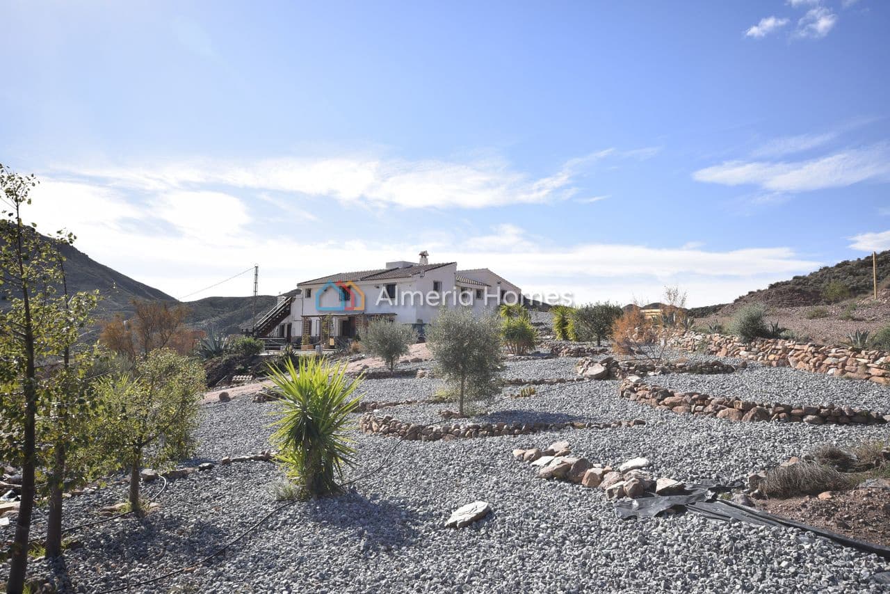 5 soveværelse Finca/Landehus til salg i Arboleas med swimmingpool - € 335.000 (Ref: 8772686)
