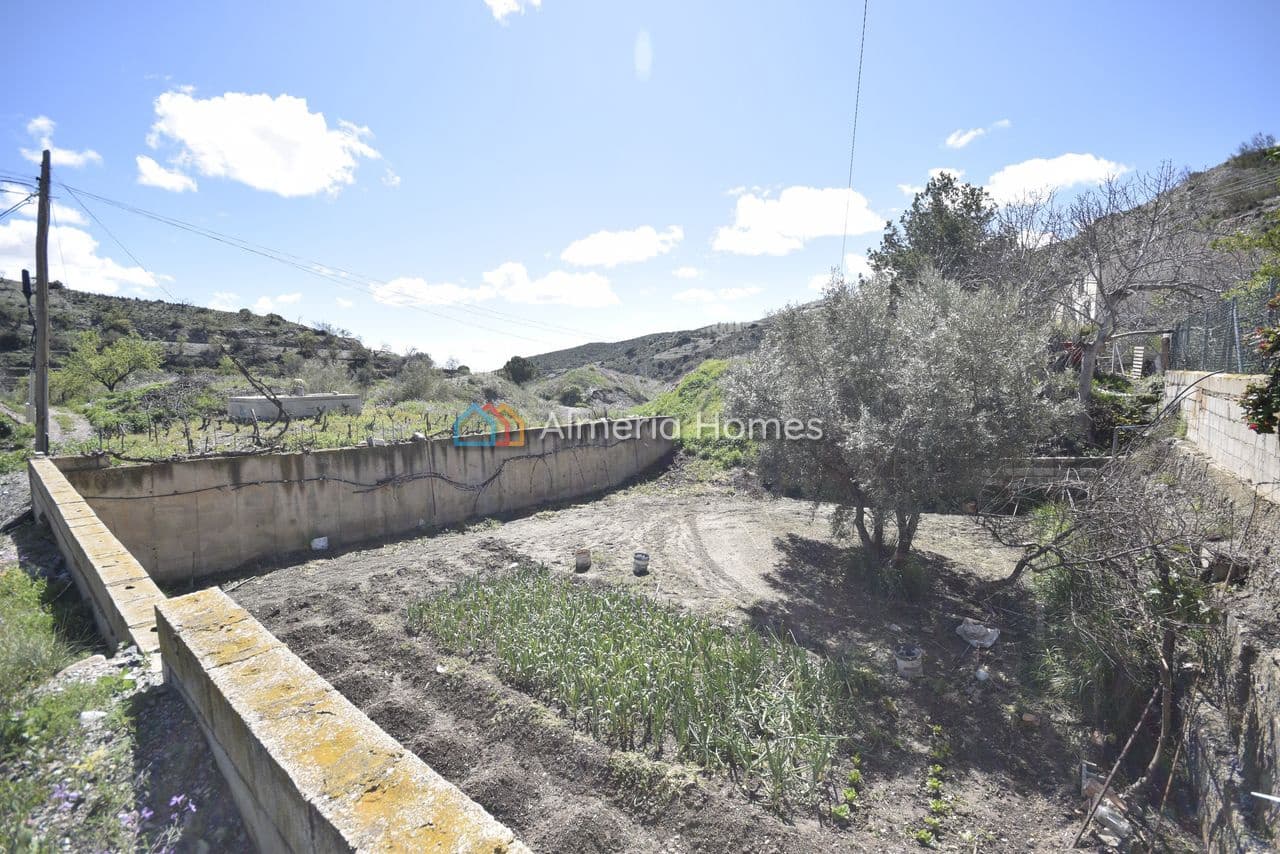 10 soveværelse Finca/Landehus til salg i Albox - € 179.995 (Ref: 8906290)