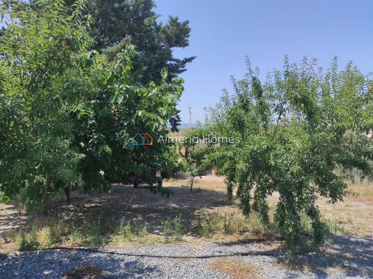 3 sypialnia Finka/Dom wiejski na sprzedaż w Seron z basenem - 120 000 € (Ref: 8925088)