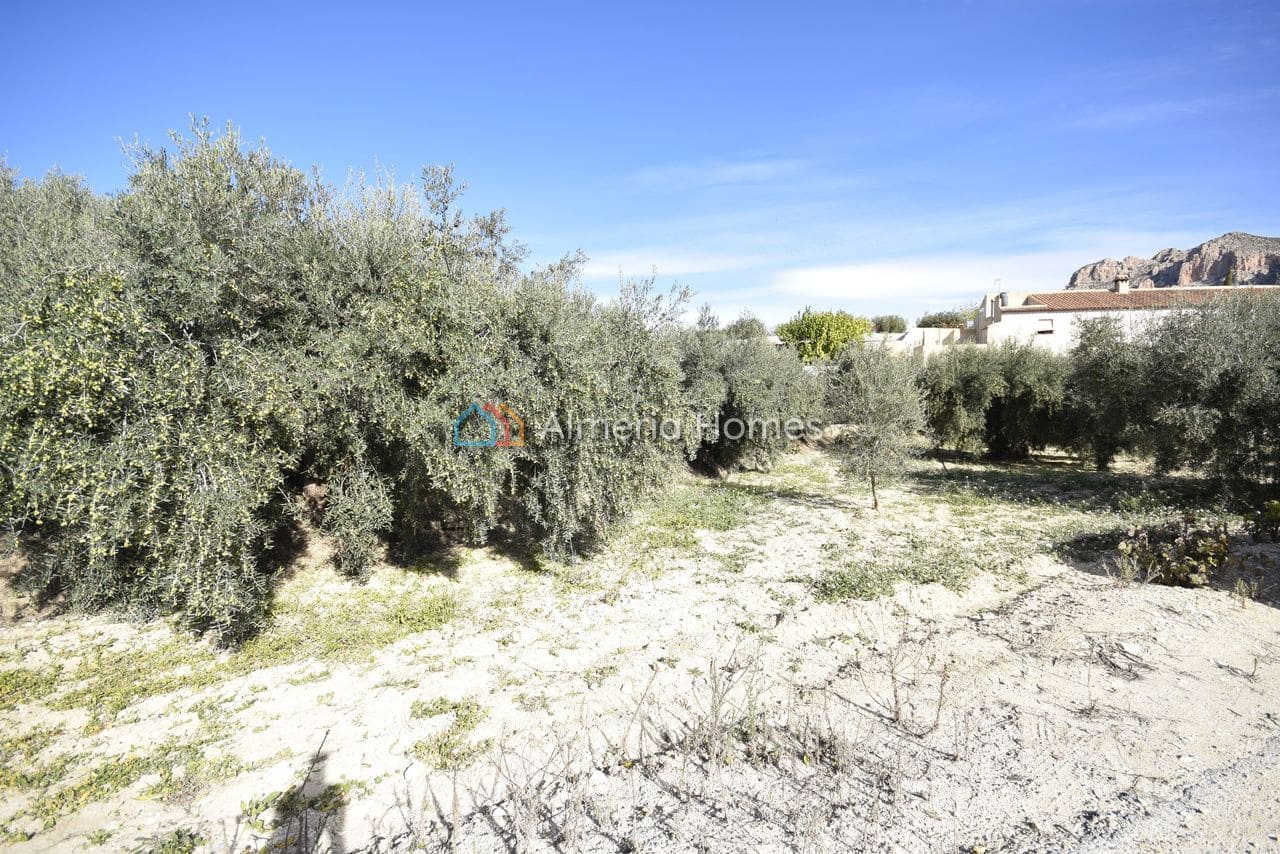 1 bedroom Finca/Country House for sale in Velez-Blanco - € 115,000 (Ref: 9337003)