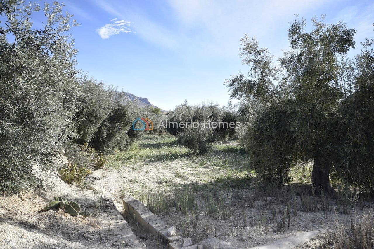 1 bedroom Finca/Country House for sale in Velez-Blanco - € 115,000 (Ref: 9337003)