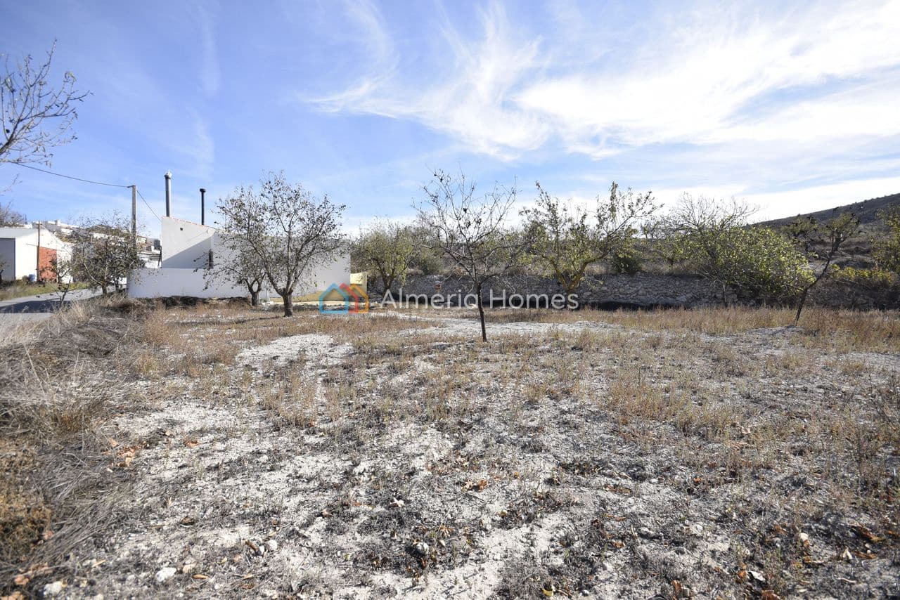 3 chambre Finca/Maison de Campagne à vendre à Oria - 104 950 € (Ref: 9363168)