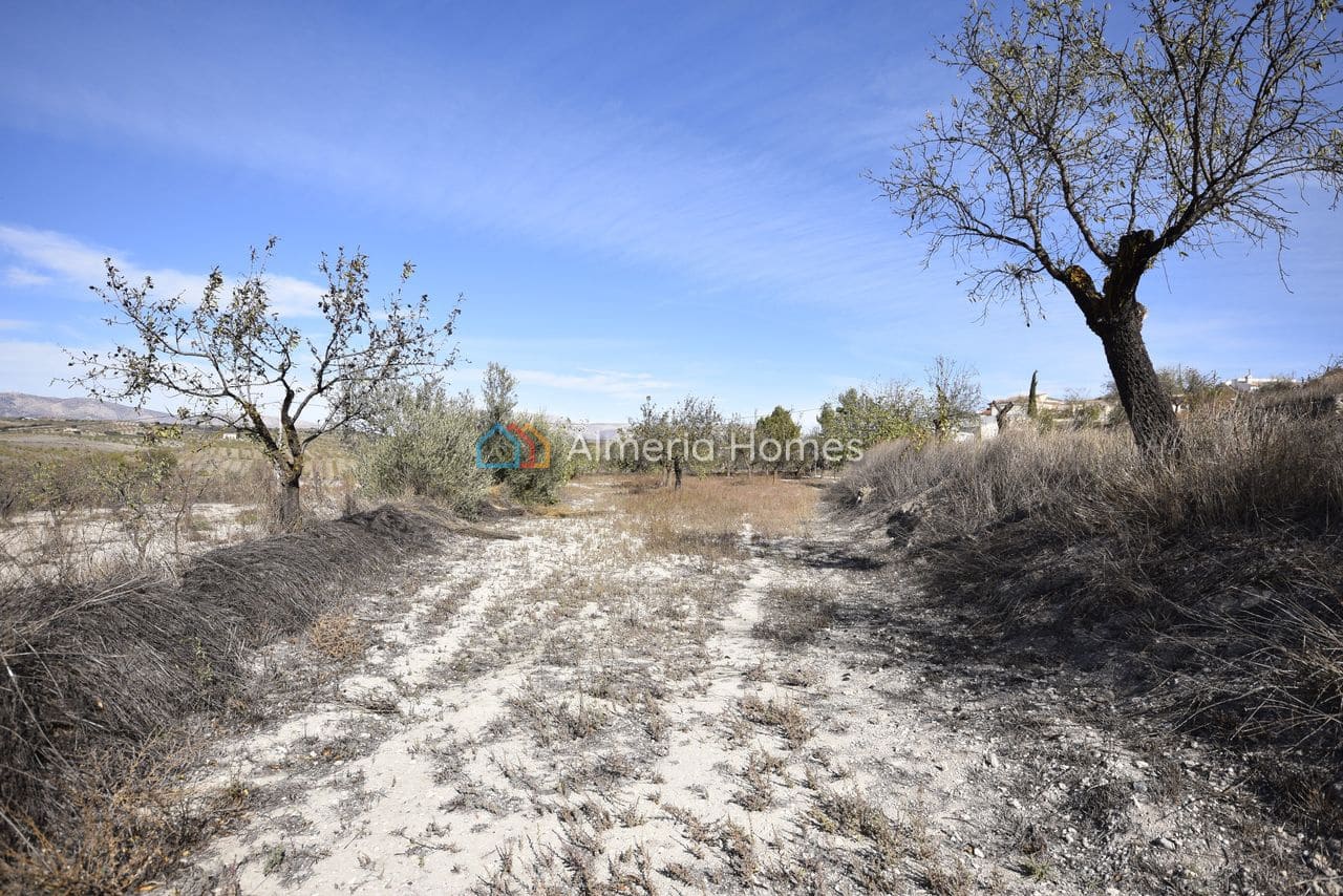 3 chambre Finca/Maison de Campagne à vendre à Oria - 104 950 € (Ref: 9363168)