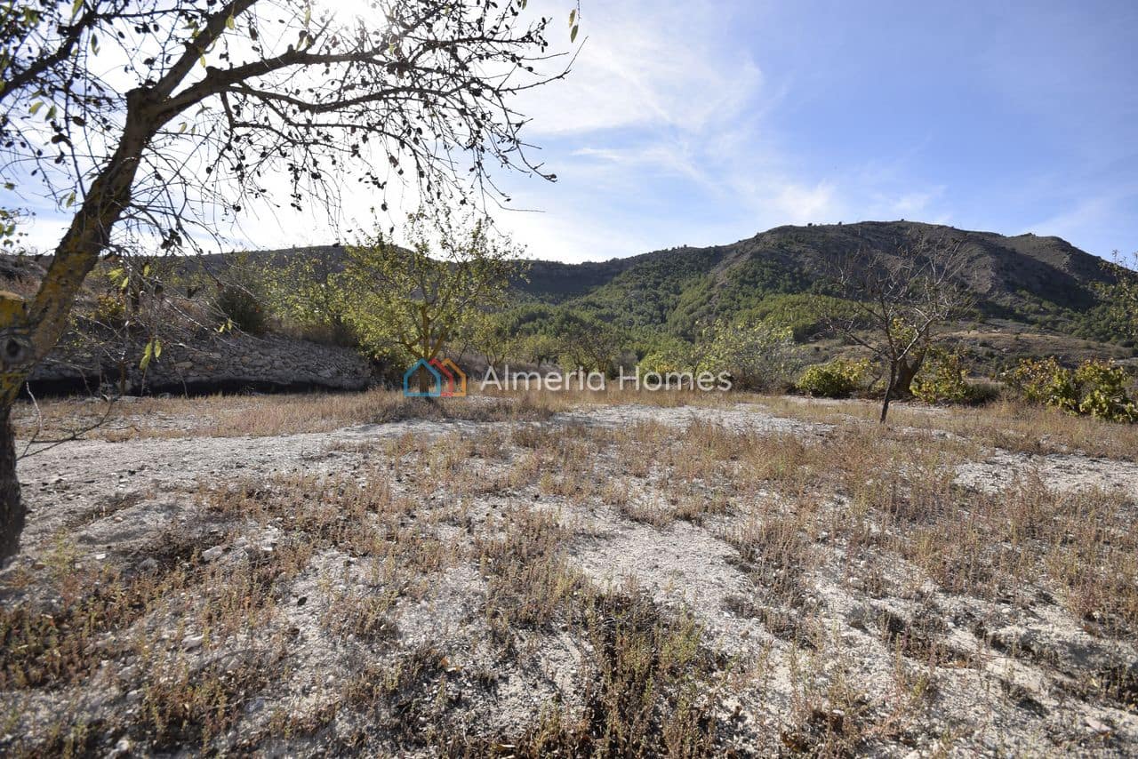 3 chambre Finca/Maison de Campagne à vendre à Oria - 104 950 € (Ref: 9363168)