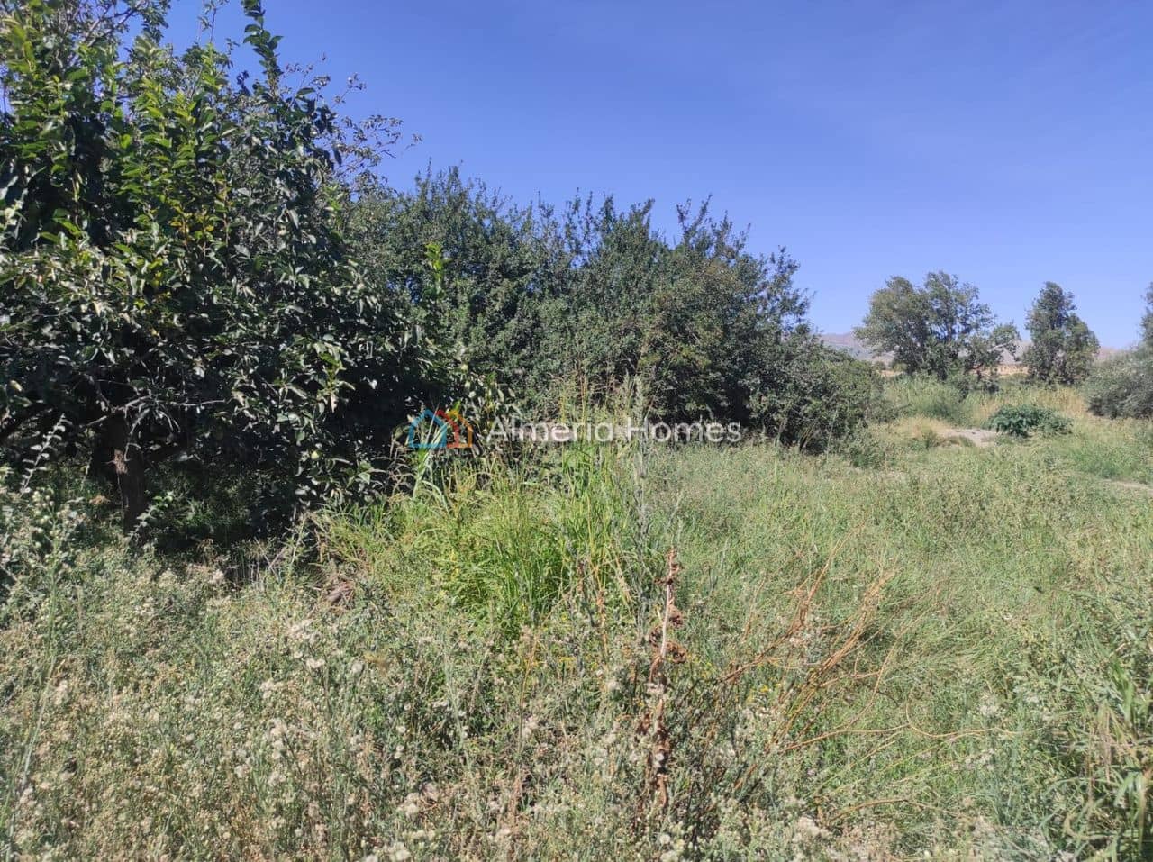 2 sovrum Finca/Hus på landet till salu i Tijola - 85 000 € (Ref: 9438426)