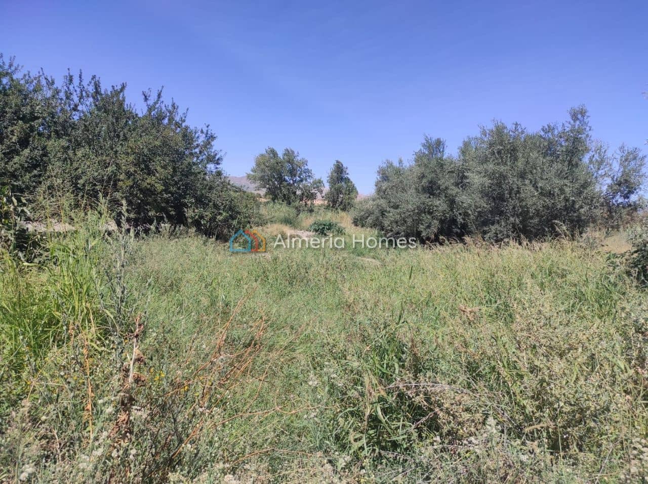 2 bedroom Finca/Country House for sale in Tijola - € 85,000 (Ref: 9438426)