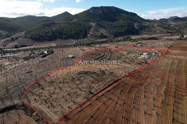 3 soveværelse Villa til salg i Vélez-Rubio med swimmingpool - € 159.995 (Ref: 9534597)