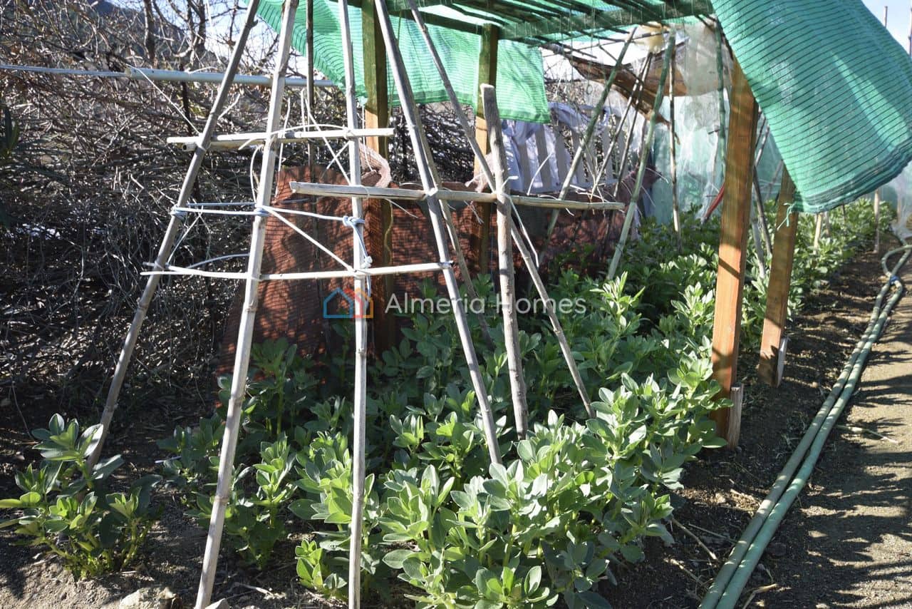 3 soveværelse Villa til salg i Velez-Rubio med swimmingpool - € 159.995 (Ref: 9534597)