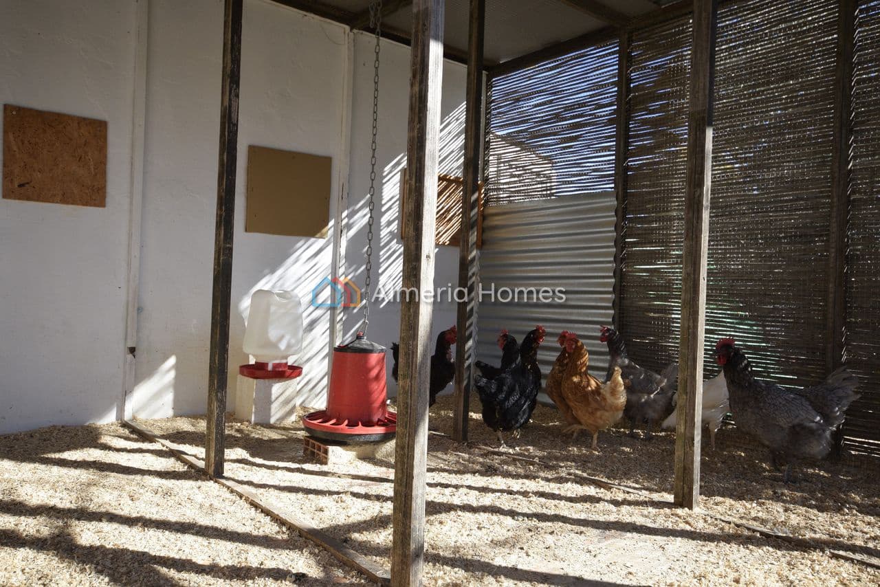 3 soveværelse Villa til salg i Velez-Rubio med swimmingpool - € 159.995 (Ref: 9534597)