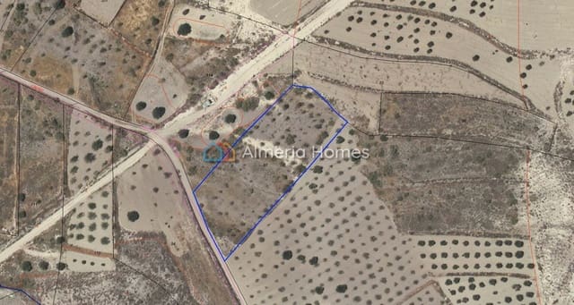 Terreno Non Edificato in vendita in Partaloa - 14.950 € (Rif: 958808)