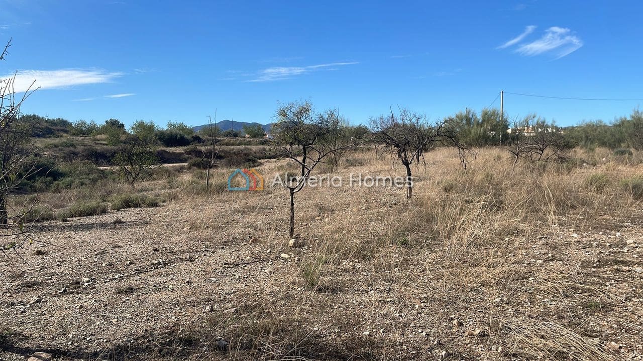 Terre non Aménagée à vendre à Partaloa - 14 950 € (Ref: 958808)