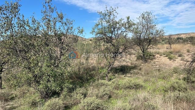 Terreno Non Edificato in vendita in Partaloa - 14.950 € (Rif: 958808)