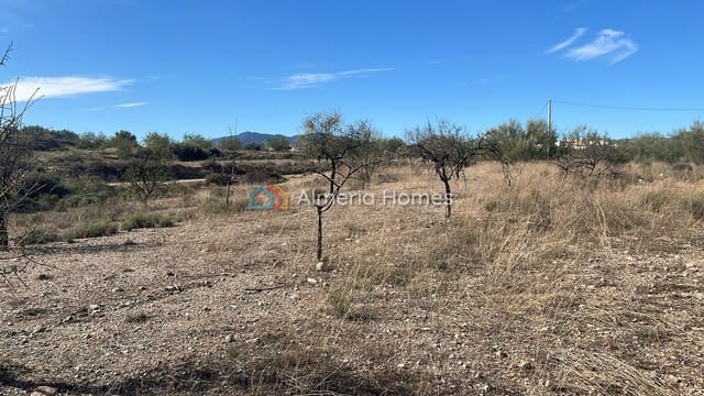 Terreno Non Edificato in vendita in Partaloa - 14.950 € (Rif: 958808)