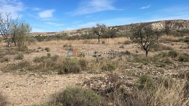 Terreno Non Edificato in vendita in Partaloa - 14.950 € (Rif: 958808)