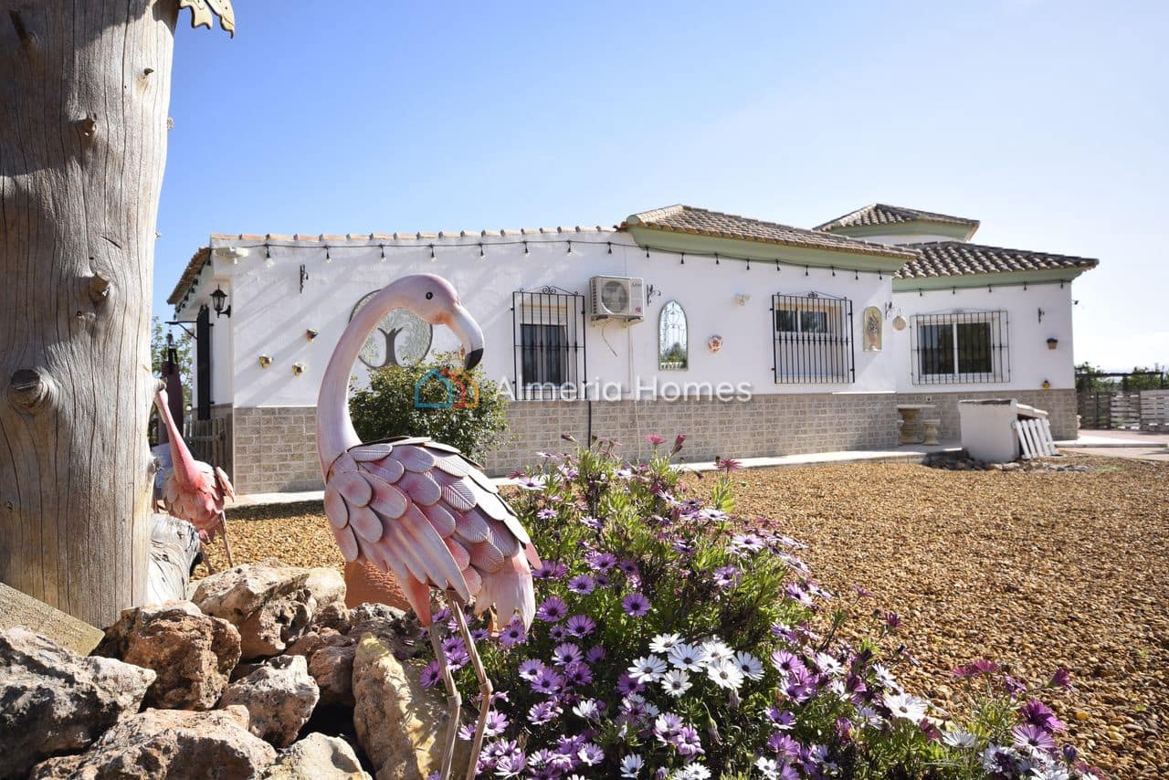 4 Zimmer Villa zu verkaufen in Albox mit Pool Garage - 309.995 € (Ref: 9730886)