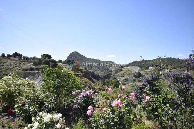 3 quarto Quinta/Casa Rural para venda em Oria com garagem - 164 995 € (Ref: 9838365)