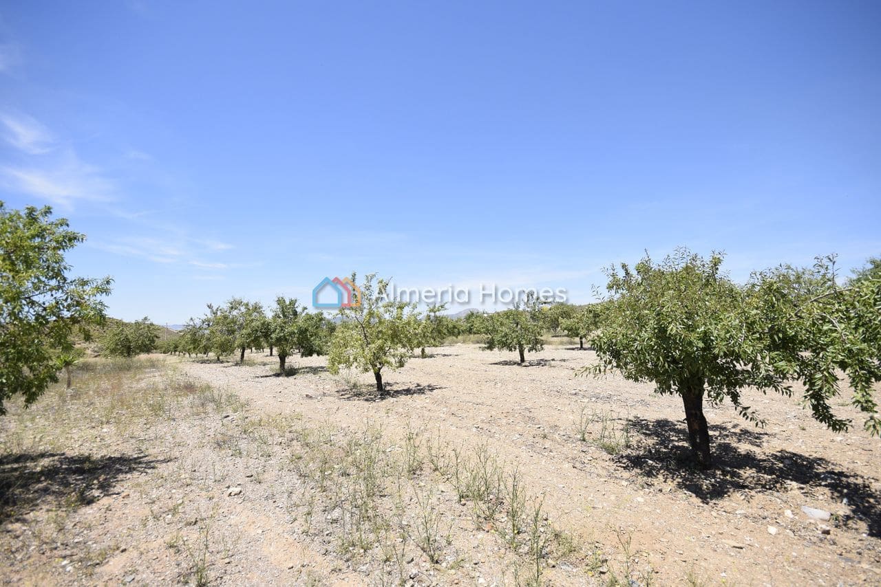 3 soverom Villa til salgs i Albox med svømmebasseng garasje - € 224 995 (Ref: 9850040)