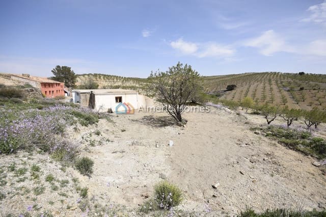 8 Zimmer Finca/Landgut zu verkaufen in Albox - 89.995 € (Ref: 9890920)