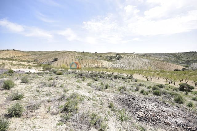 8 Zimmer Finca/Landgut zu verkaufen in Albox - 89.995 € (Ref: 9890920)