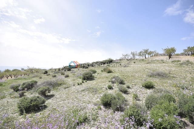 8 Zimmer Finca/Landgut zu verkaufen in Albox - 89.995 € (Ref: 9890920)