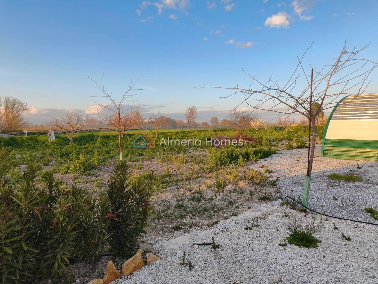 1 camera da letto Finca/Casa di Campagna in vendita in Baza con piscina - 160.000 € (Rif: 9891306)
