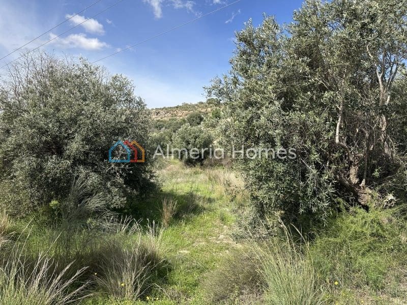 2 soveværelse Finca/Landehus til salg i Los Gallardos - € 108.000 (Ref: 9891308)