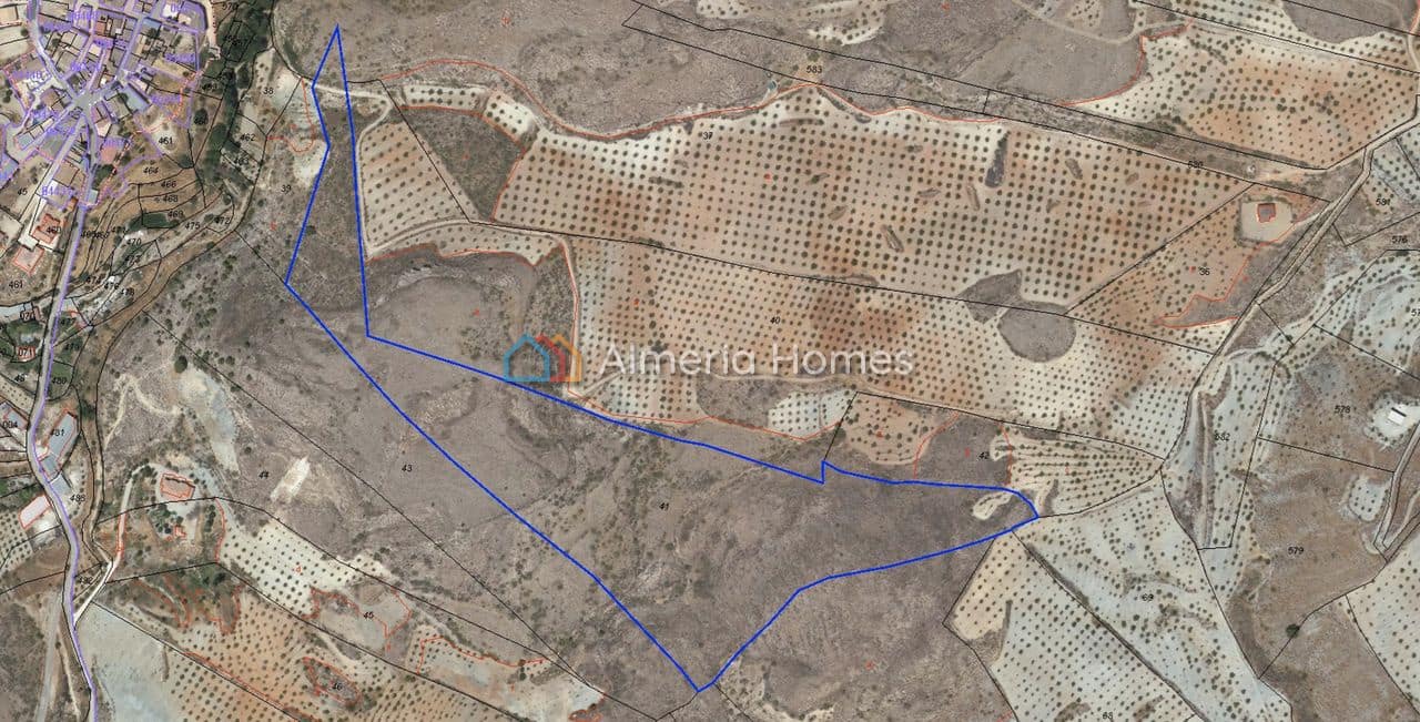 Ubebygd land til salgs i Oria - € 15 000 (Ref: 9891329)