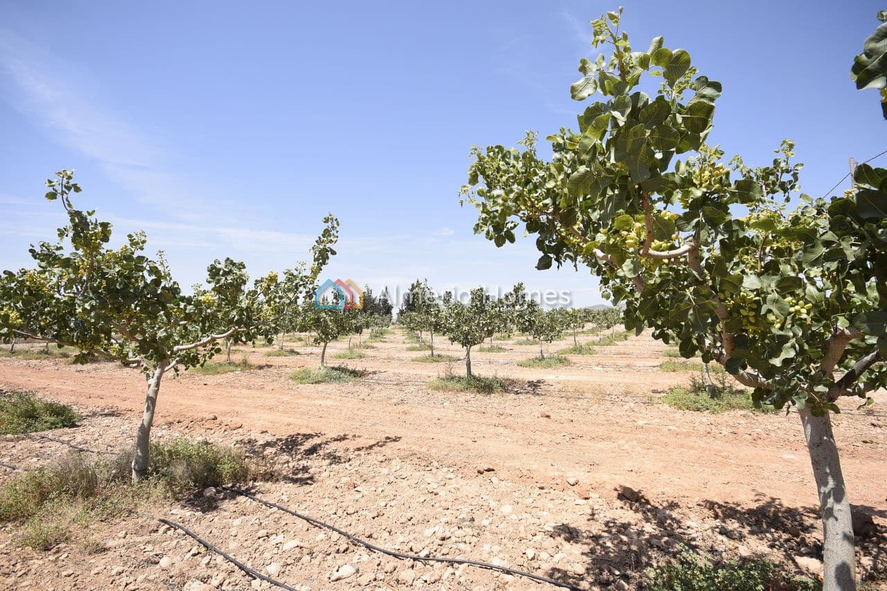 8 bedroom Finca/Country House for sale in Lorca with pool garage - € 390,000 (Ref: 9936670)