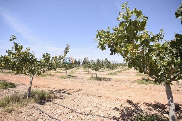 8 soverom Finca/Herregård til salgs i Lorca med svømmebasseng garasje - € 390 000 (Ref: 9936670)