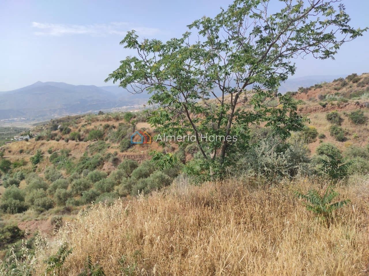 5 chambre Finca/Maison de Campagne à vendre à Lucar - 50 000 € (Ref: 9937196)