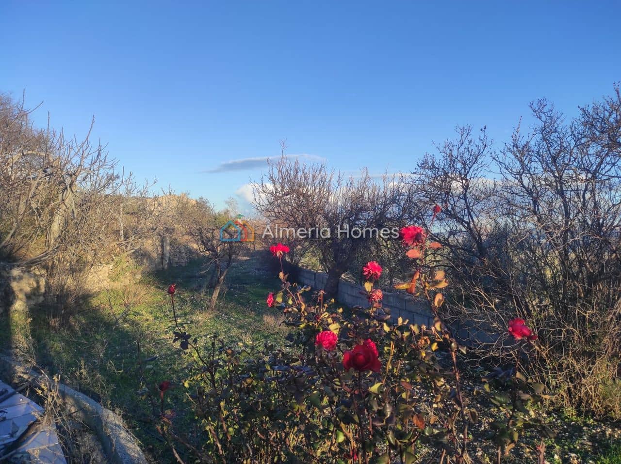 2 chambre Finca/Maison de Campagne à vendre à Somontin - 78 000 € (Ref: 9937197)