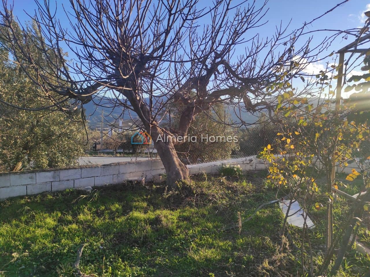 2 chambre Finca/Maison de Campagne à vendre à Somontin - 78 000 € (Ref: 9937197)