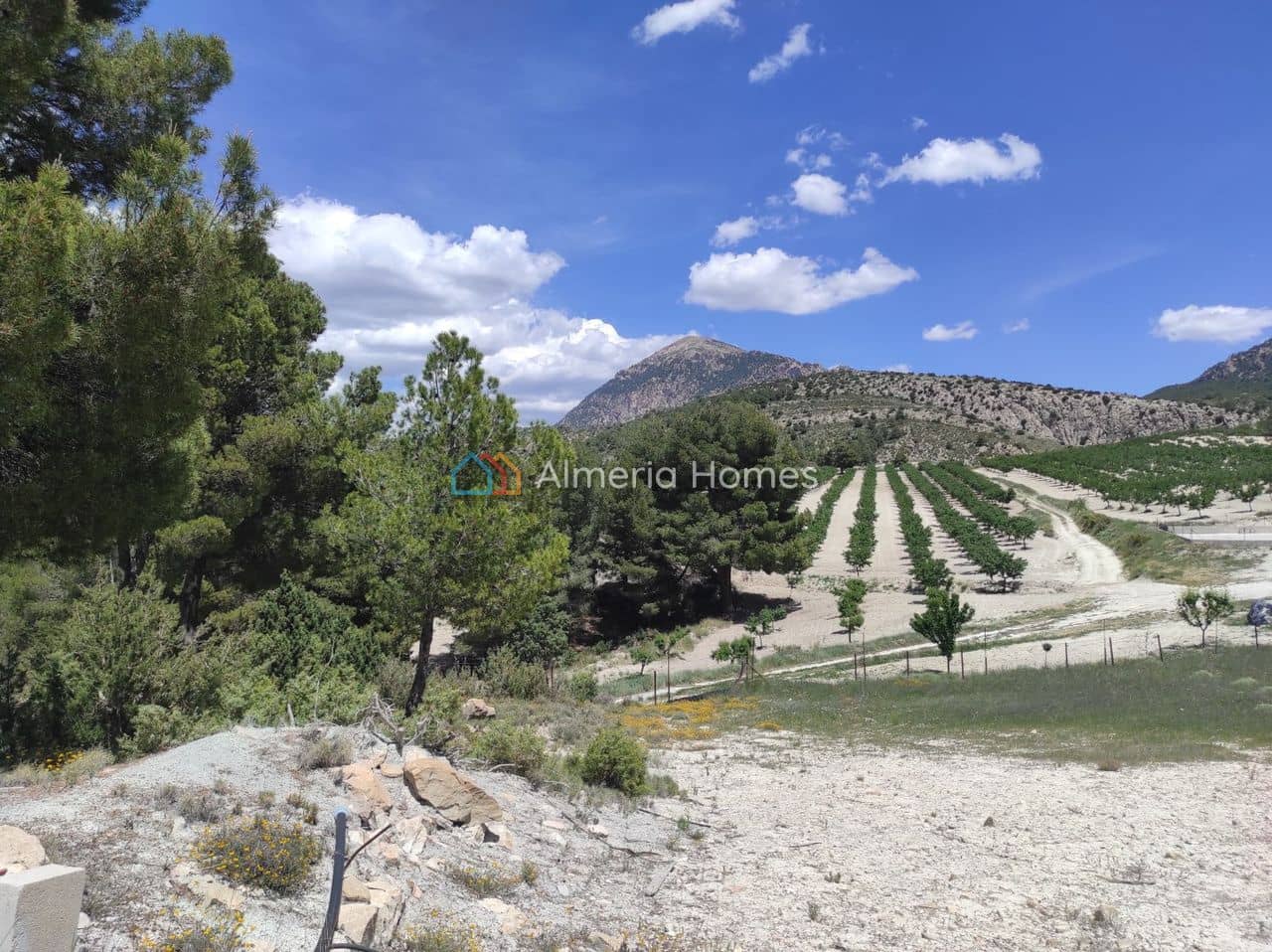 3 soveværelse Finca/Landehus til salg i Huescar med swimmingpool - € 105.000 (Ref: 9948814)