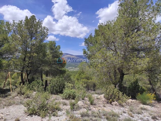 3 soverom Finca/Herregård til salgs i Huescar med svømmebasseng - € 105 000 (Ref: 9948814)