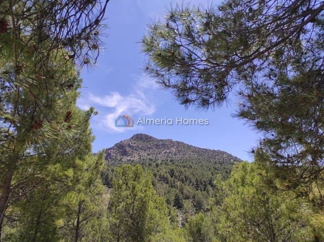 3 soverom Finca/Herregård til salgs i Huescar med svømmebasseng - € 105 000 (Ref: 9948814)
