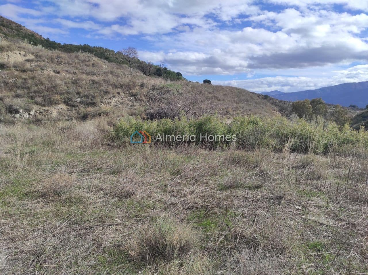 Finca/Landhuis te koop in Lucar - € 55.000 (Ref: 9948818)